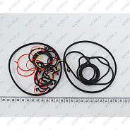 Бирч/Seal Kit D516800 Doosan